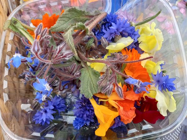 Jamrock Culinary Arts Center