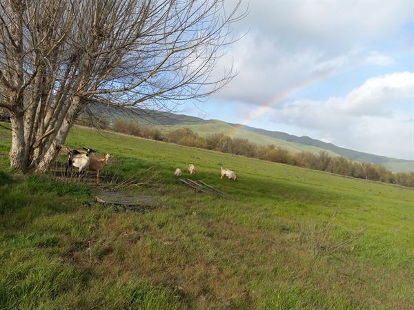Jamrock Culinary Arts Center