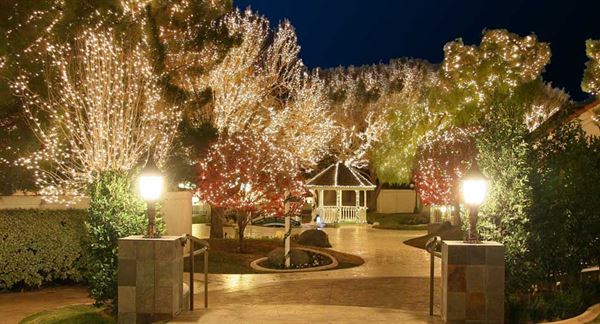 Marry Me Officiant Service