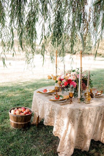 Cider Hill Family Orchard