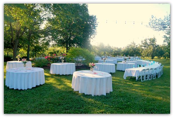 Cider Hill Family Orchard
