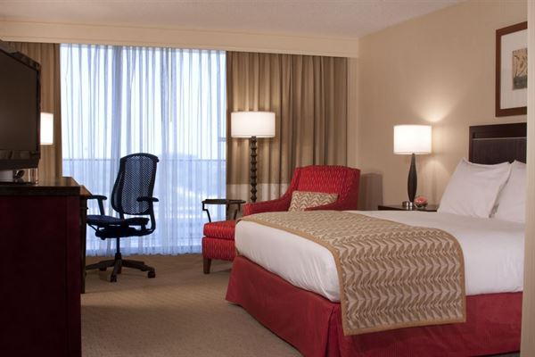 Hilton Tampa Airport Westshore