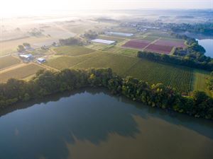 Harbour Estate Winery Park