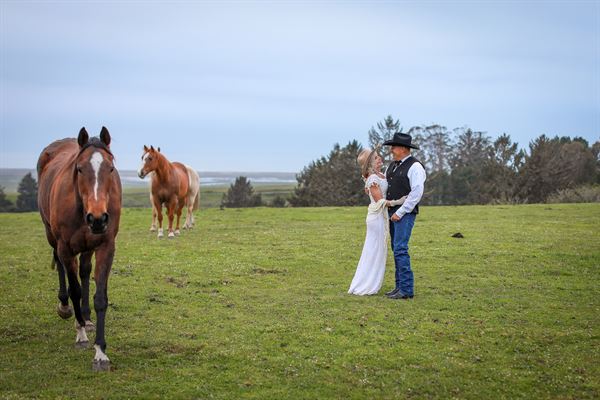 North Coast Hitching Post