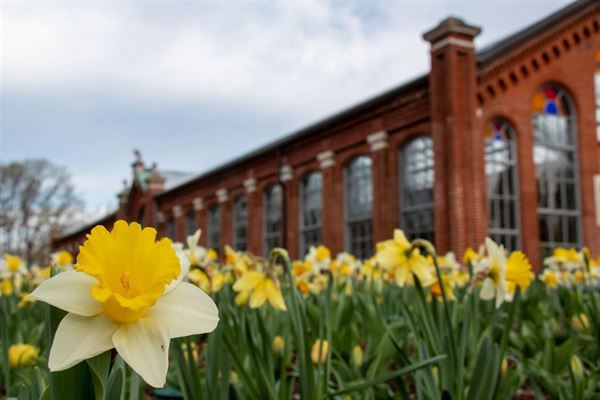 Missouri Botanical Garden
