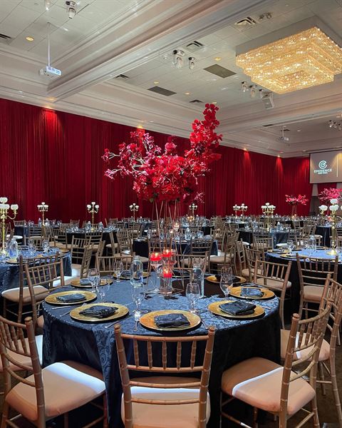 Embassy Grand Convention Centre