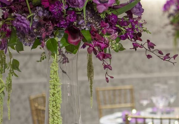 Hilton Washington DC Capitol Hill