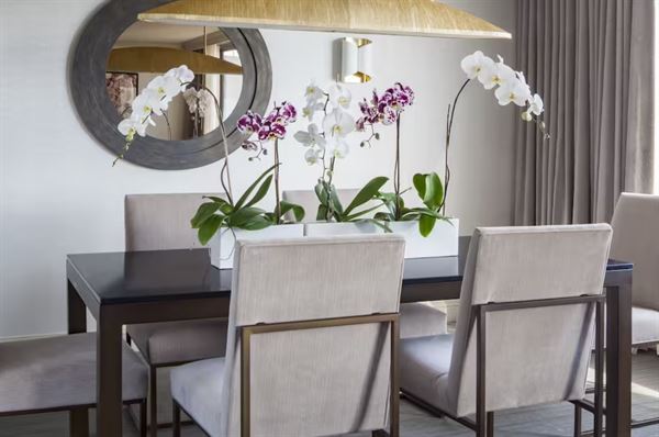 Hilton Washington DC Capitol Hill