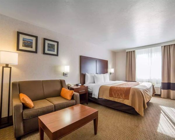 Comfort Inn Elko