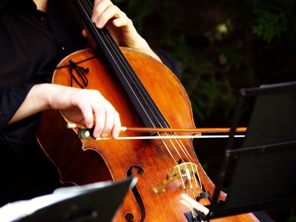 Duo d'Amore-string duos, trios and string quartets