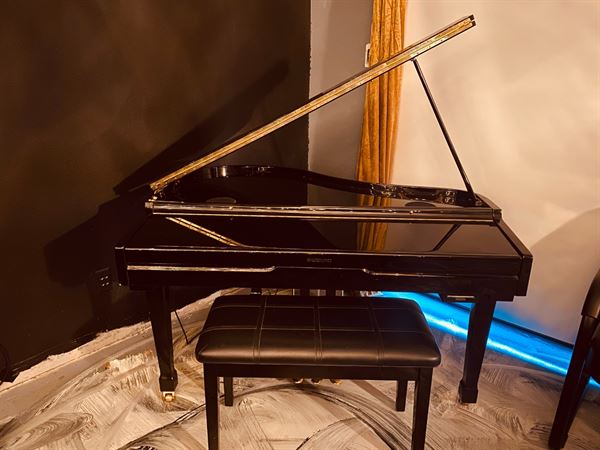 Education Arts & Entertainment Association