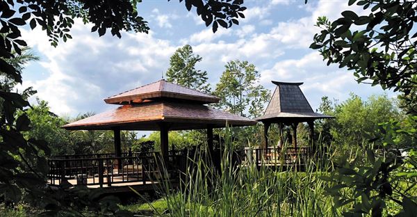 Patch of Heaven Sanctuary