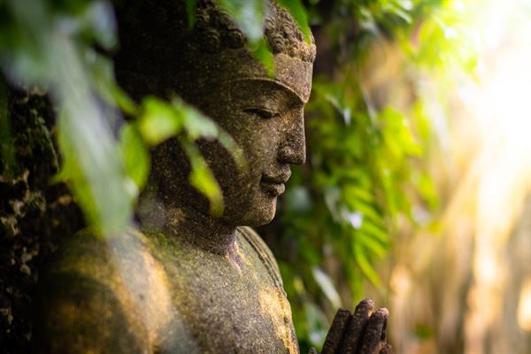 Patch of Heaven Sanctuary