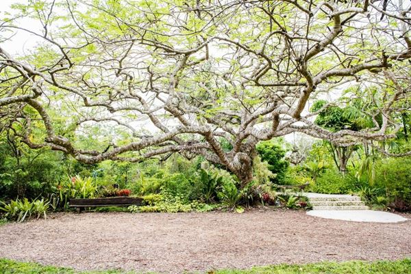 Patch of Heaven Sanctuary