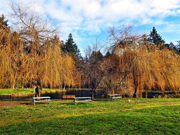 Saanich Historical Artifacts Society