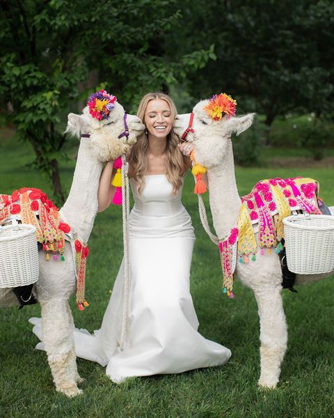 Ashley Nicole Affair