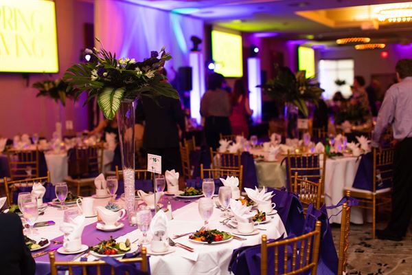 DChristine Events, LLC