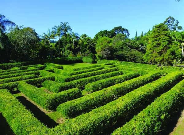 Botanical World Adventures