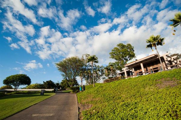 Mulligans on the Blue