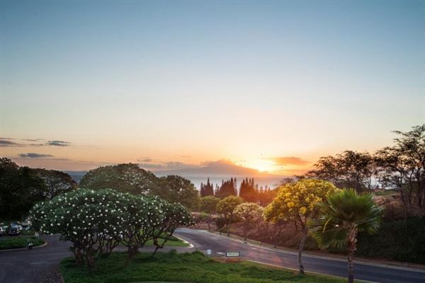 Mulligans on the Blue