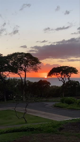 Mulligans on the Blue