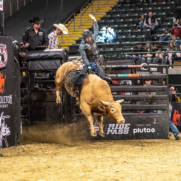 Wright State University's Nutter Center