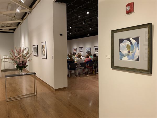 The University of Mississippi Museum
