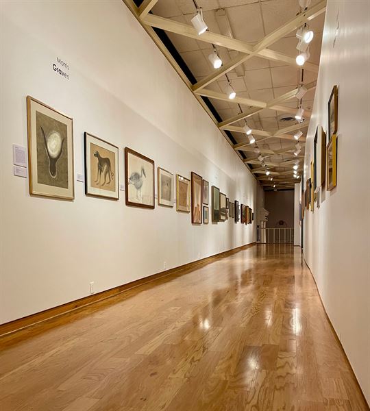 The University of Mississippi Museum