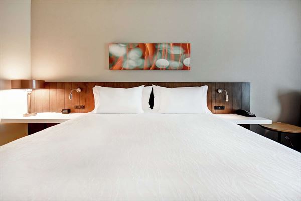 Hilton Garden Inn Lansing West