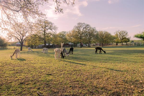 La Vida at Harmony Ranch
