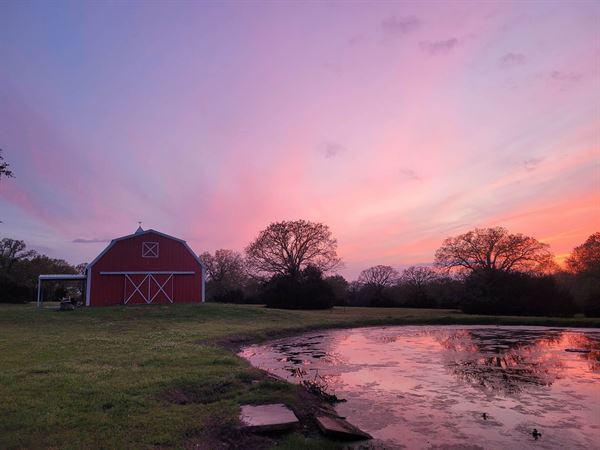 La Vida at Harmony Ranch