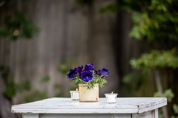 Marco Di Luca Event Design