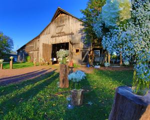 The Barn & Outdoor Space