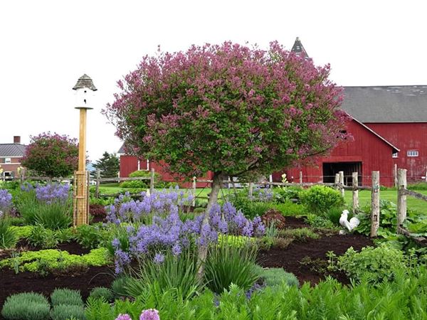 The Inn At Mountain View Farm