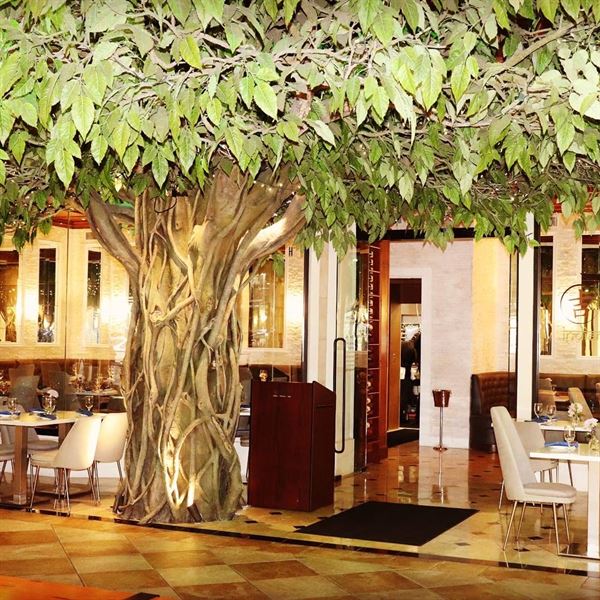 Tabla Indian Winter Park