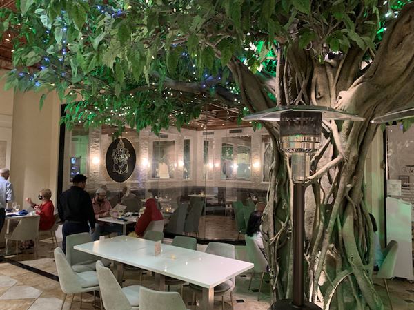 Tabla Indian Winter Park