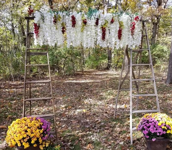 The Campground House