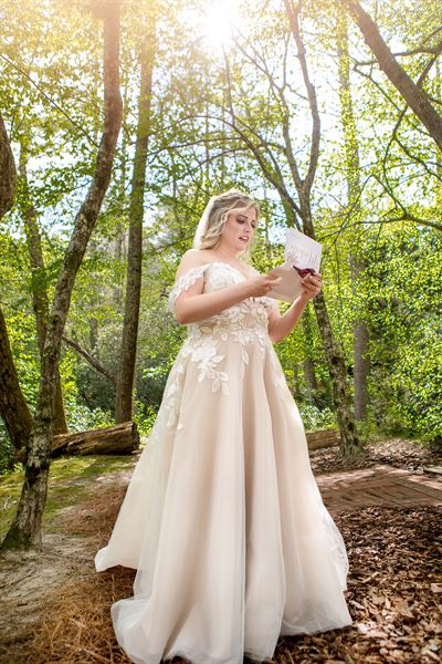 Dabney's Designs... Elevated Events