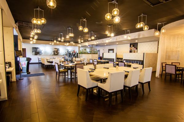 Tabla Indian Winter Park