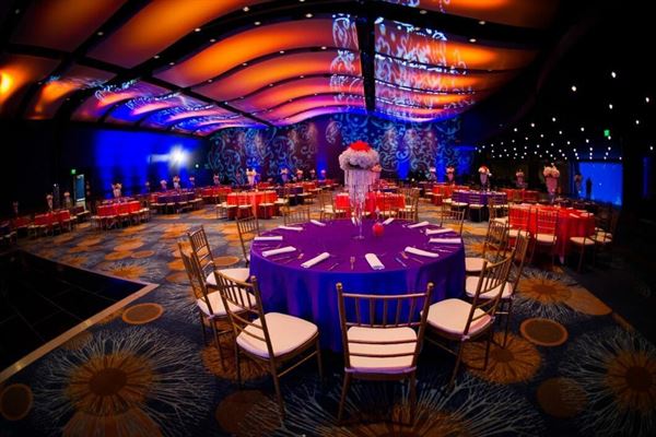 Georgia Aquarium and Wolfgang Puck Catering