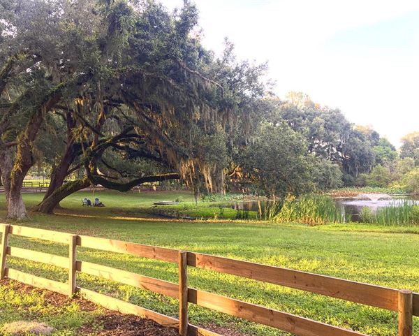 Enchanted Oaks Farm & Lakehouse