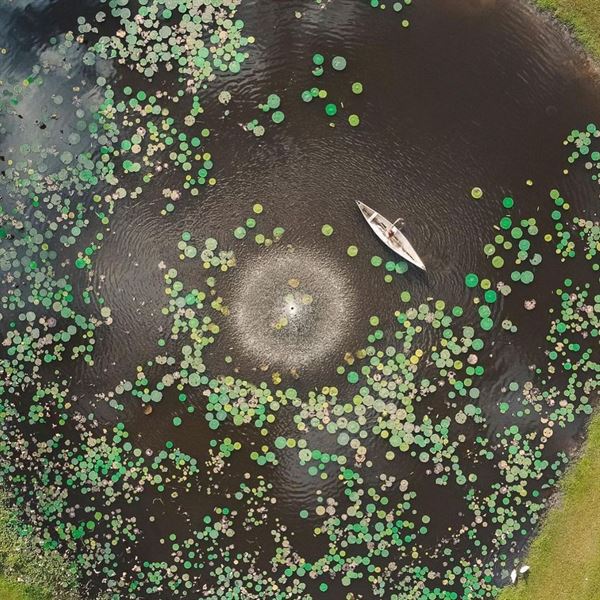 Enchanted Oaks Farm & Lakehouse