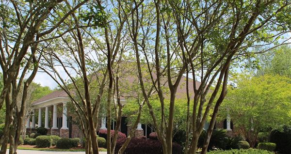 Kalifield Gated Community