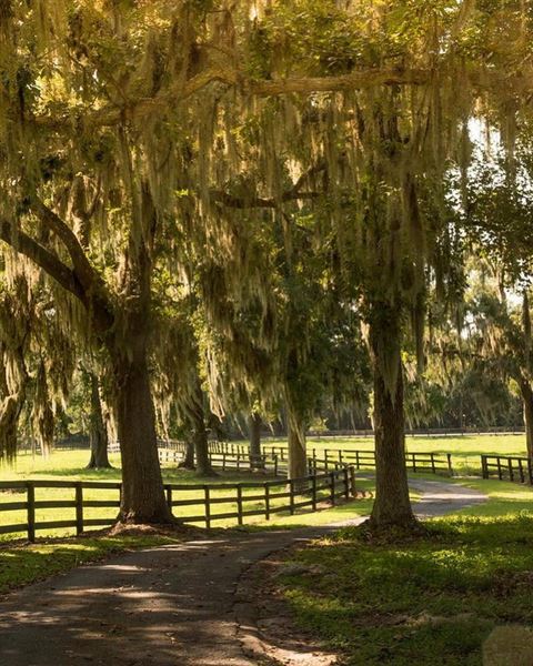 The Cattle Barn at Triple J Farm