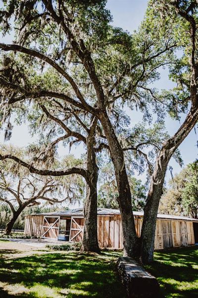 The Cattle Barn at Triple J Farm