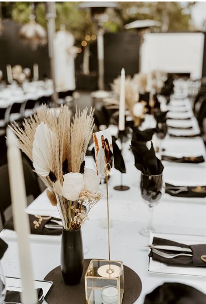 White House  Beach Club