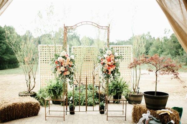 Forever Blueberry Barn