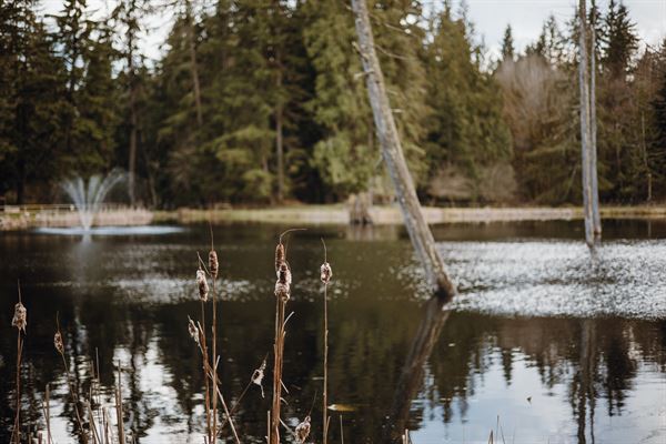 The Landing at Lake Ploenta