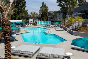 South Clubhouse Lounge and Pool