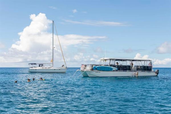 Tradewind Charters Hawaii